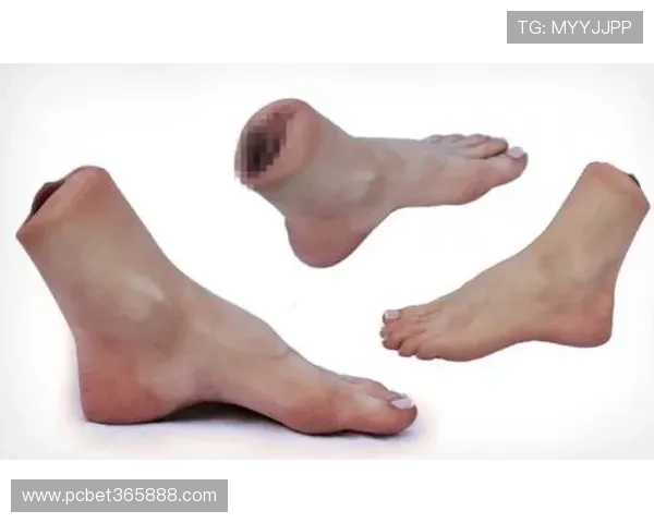 365完美体育app提供高清流畅的赛事直播和多角度观看体验 365完美体育app提供高清流畅的赛事直播和多角度观看体验