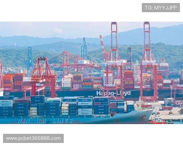 bet365中国大陆用户体验评测与平台功能全面解析