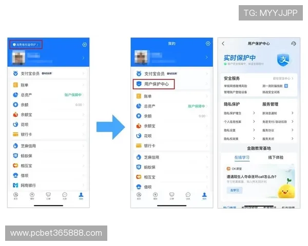 bet365手机版APP安全性分析与隐私保护措施，保障用户权益