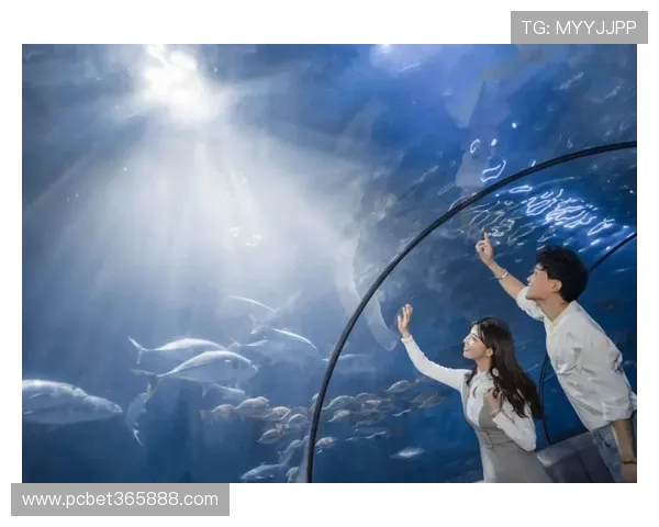 大发bet苹果登陆常见问题解答,解决你的使用疑虑与技术难题 大发bet苹果登陆常见问题解答,解决你的使用疑虑与技术难题