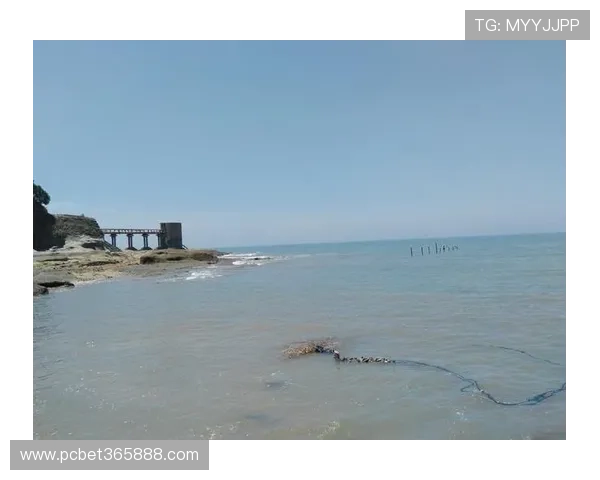 bet365 app网页版中如何安全存款与提现确保资金安全的实用技巧 bet365 app网页版中如何安全存款与提现确保资金安全的实用技巧